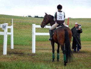 The Equestrian Athlete Plan