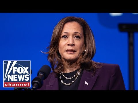 'THEY'RE AFRAID': Trump official says Harris campaign eyeing an 'escape hatch'