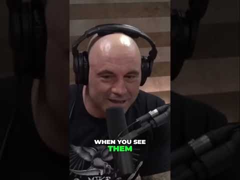 Discovering the Joy of Children  A Heartfelt Reflection #elonmusk @ElonMusk-FanZone #podcast