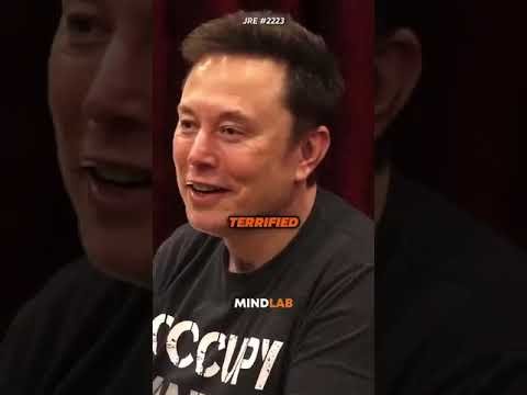 The World’s Craziest Man @ElonMusk-FanZone