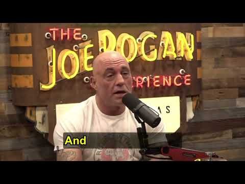 @joerogan I love @ElonMusk-FanZone