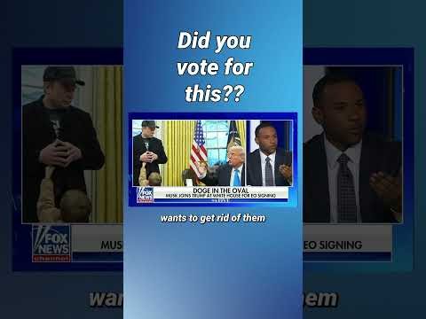 Fox News Host STUNNED By Guest's Comments On Elon Musk & Donald Trump's DOGE #news #politics