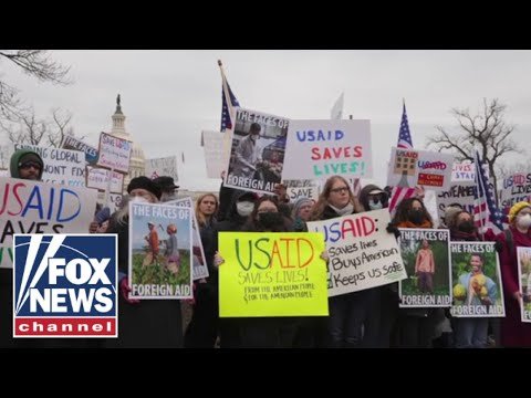 'BRING IT ON': Senator slams Dem judges' 'activist bench'