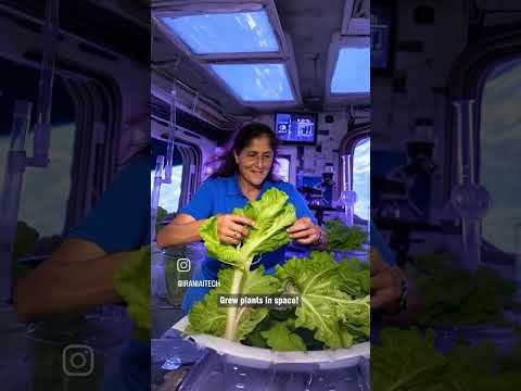 welcome Sunita Williams @ElonMusk-FanZone #shorts #spacex #nasa #sunitawilliams