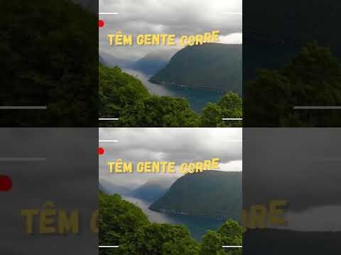 Falar com Deus @WhatsApp @Videoshort @ElonMusk-FanZone @flamengo