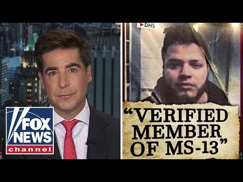 Watters: This Democrat 'disgraced' himself today