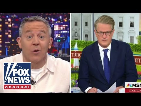 Gutfeld: How dumb does MSNBC think we are?