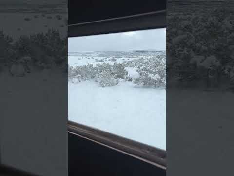 #whatif #trump betrays @ElonMusk-FanZone