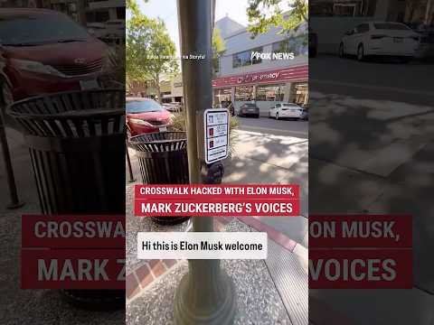 Crosswalk hacked with Elon Musk, Mark Zuckerberg’s voices #foxnews #news #fox #elonmusk #shorts