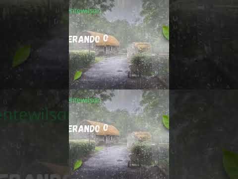 Corrupção chuvas fortes @ElonMusk-FanZone @ShortsViralTV @Disney