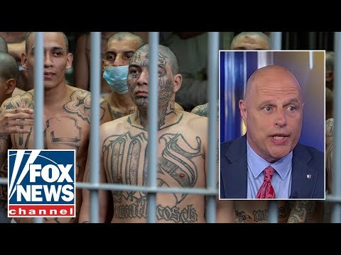 'NONSENSE': Border Patrol advisor rips into Dems who visited El Salvador