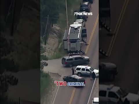 ICE agents OPEN FIRE after illegal immigrants tried to ram them with vehicle #short