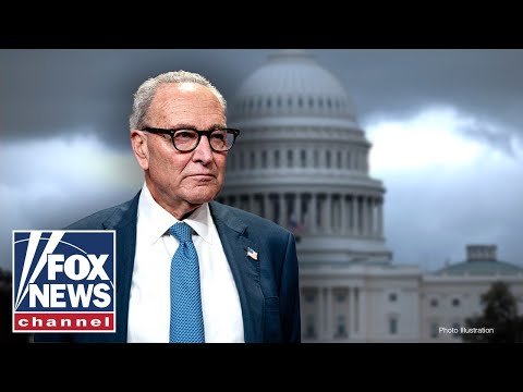 ‘RECKLESS’: Fallout from ‘Schumer shutdown’ EXPLODES in Washington