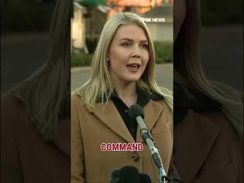 'SHOULD BE HELD ACCOUNTABLE': Leavitt on video calling for service members to 'refuse orders'