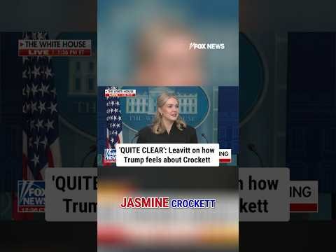 Leavitt calls Jasmine Crockett 'wholly unqualified' for Senate office #shorts #trump #crockett #fox