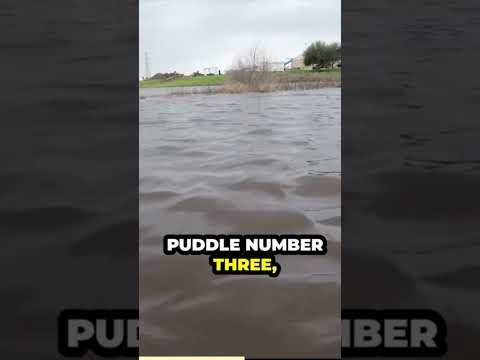 cybertruck survives a flooding puddle @tesla   @ElonMusk-FanZone