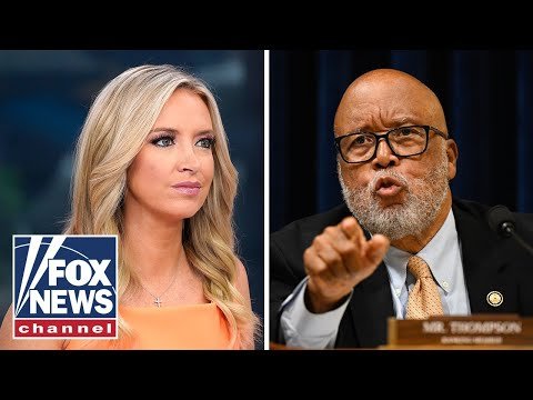 Kayleigh McEnany RIPS Democrat: This was a terrorist attack, not an 'accident'