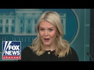 ‘YOU’RE KIDDING ME’: Leavitt asked by reporter for examples of Trump being called ‘racist’