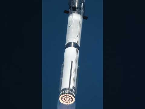 @ElonMusk-FanZone Beauty