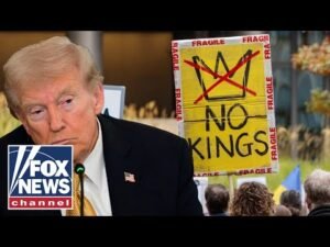 'HUGE PROBLEM': Psychotherapist analyzes anti-Trump 'No Kings' protests