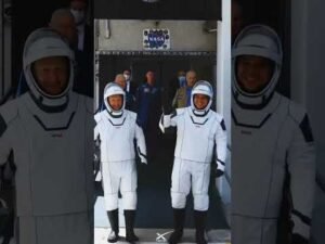 Elon Reeve Musk#elonmusk @ElonMusk-FanZone