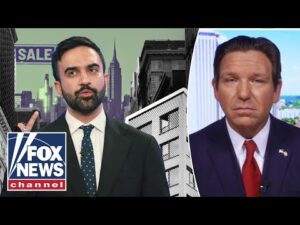 ‘VICIOUS CYCLE’: DeSantis SOUNDS ALARM on New York housing plan