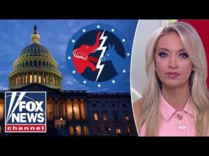 Kayleigh McEnany: I am STUNNED by this
