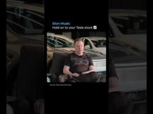 Elon Musk Fan Zone – independent news, commentary, and analysis on Elon Musk, Tesla, SpaceX,