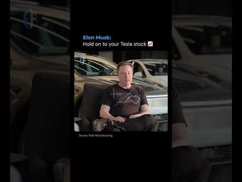 Elon Musk Fan Zone – independent news, commentary, and analysis on Elon Musk, Tesla, SpaceX,
