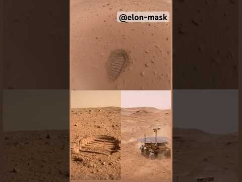 صور من الفضاء #اكسبلور -@E@ElonMusk-FanZone